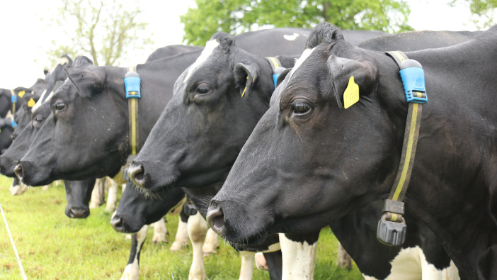 Allflex introduces a subscription-based monitoring system IMG_2737 @300