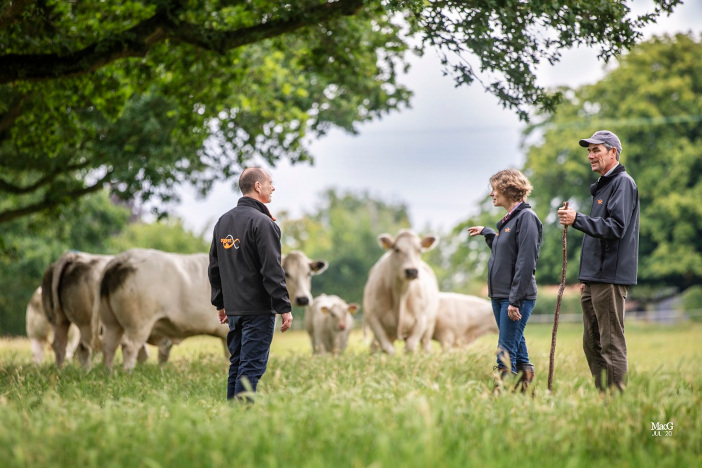 The programme partners with nucleus herds to develop reputable and bespoke genetics for each sire breed