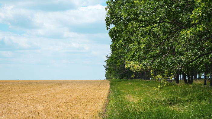 Agrovista releases new guide to regenerative agriculture Regenerative,Agriculture,,Holistic,Management,,Farming,Problem,Concept.,Yellow,Field,With