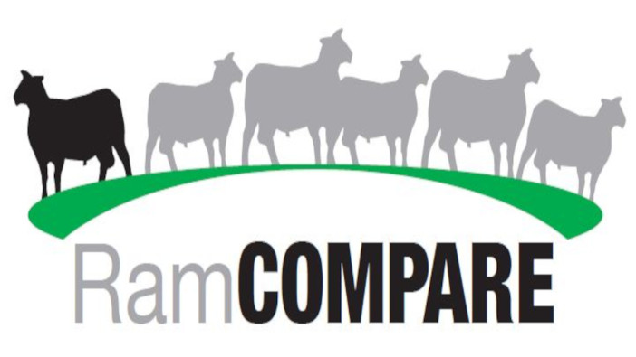 RamCompare