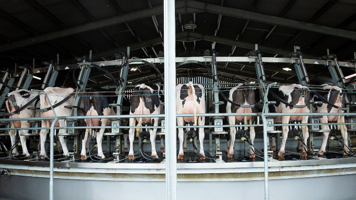 Supplementation is key to dairy efficiency, performance and profitability Rowland Partners 1