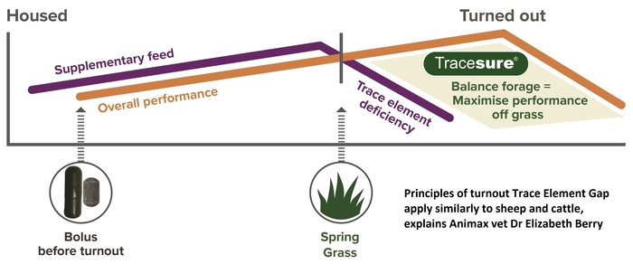 Farmers advised how to avoid turn-out Trace Element Gap and ‘make hay while sun shines’ from grazing livestock