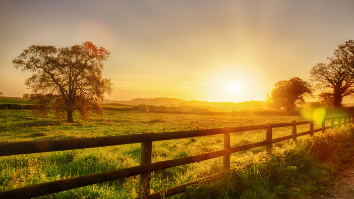 Launch of the Tenancy Working Group, to support tenant farmers Glorious,Sunrise,Over,Grassy,Rural,Landscape,In,Norfolk,Uk,With