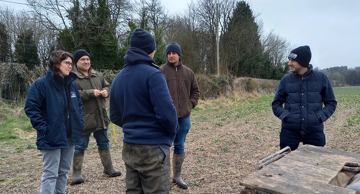 Farmer-led research disproves red clover fears on sheep fertility Farmer-led research disproves red clover fears on sheep fertility