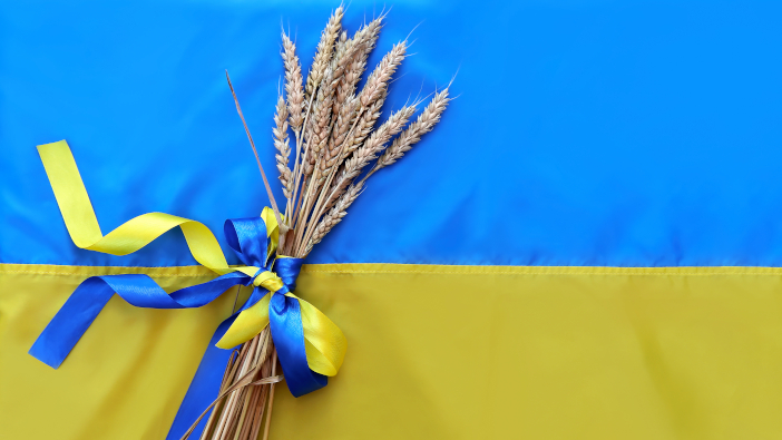 A,Bouquet,Of,Ripe,Golden,Spikelets,Of,Wheat,Tied,With