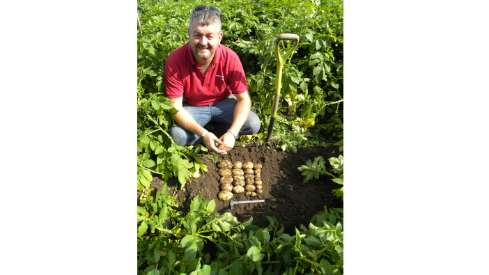 Polysulphate can boost marketable yield in potatoes DSCN1252