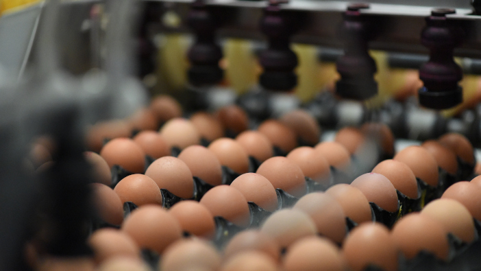 Farmers warn of a free range egg crisis Eggs being packed