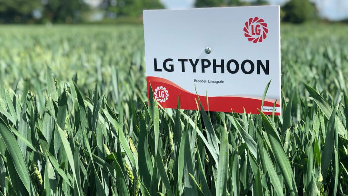 Limagrain launches LG Typhoon LG Typhoon1