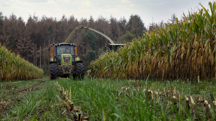 Barenbrug advises caution with under-sowing maize Proterra 7 October 2019
