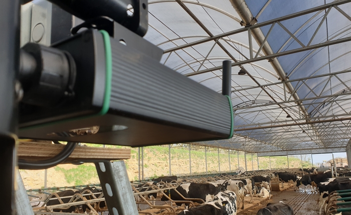 Every picture tells a story