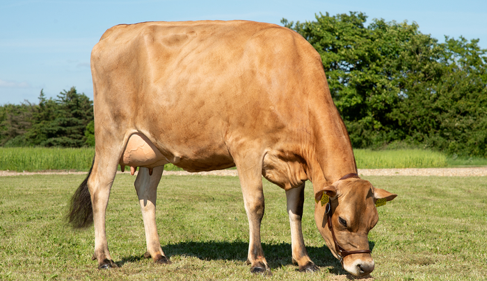 Captain regains position with top enviro-credentials Captain regains position with top enviro-credentials