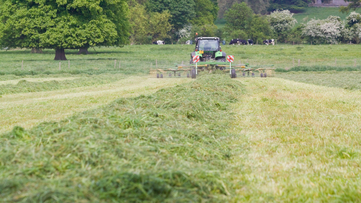 Hutchinsons offer top tips for spring grass management Optimising grassland productivity needs a focussed approach