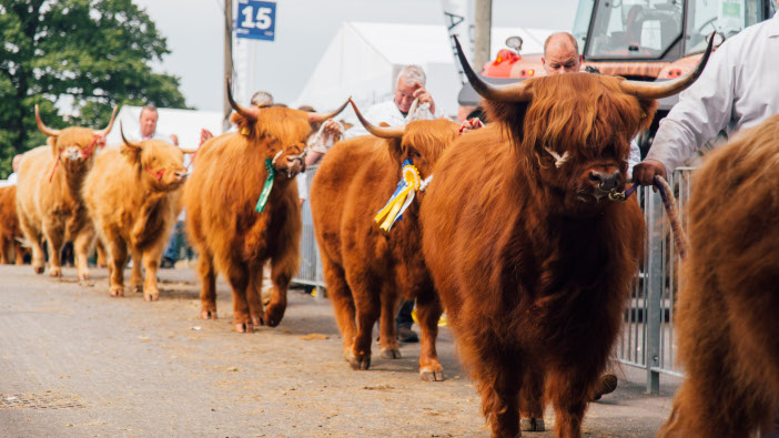 Royal Highland Show releases 2022 entry figures