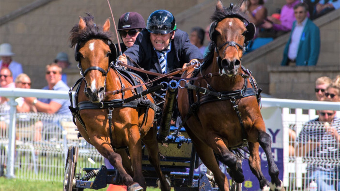 Surry ponies edited LR