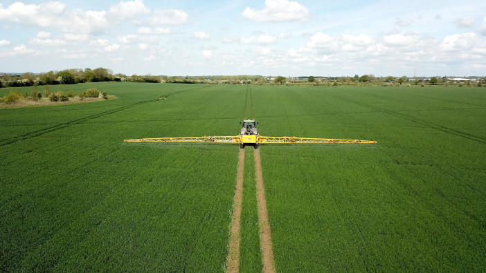 High levels of septoria found in wheat plant samples DCIM100MEDIADJI_0029.JPG