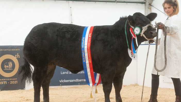 2852022_Overall_Champ