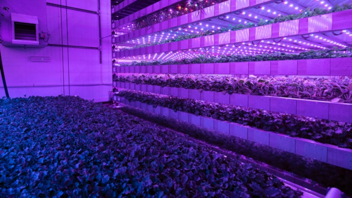 Vertical farming system named as one of the UK’s best innovations