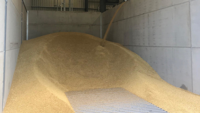 BDC Systems helps speed up harvesting process for a Midlothian farm Trench intake bunker with overflow from BDC Systems' Svegma drier