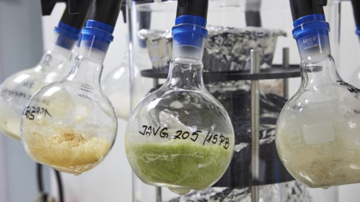 Olmix Micromix receives biostimulant certification COLMIX-L.RANNOU 039 ++ HD mini (Small)