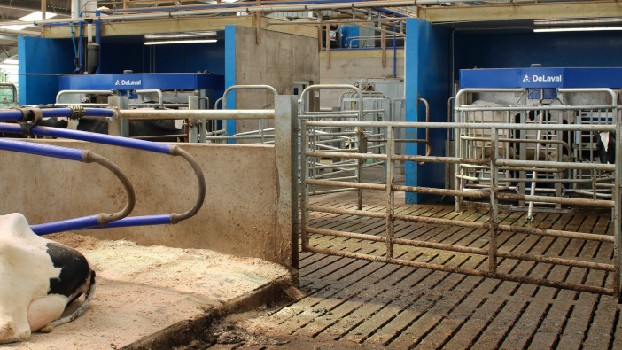 Gretna farm opens gates for dairy robot open day