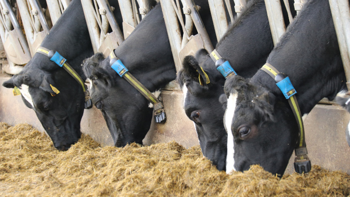 Meetings to discuss benefits of dairy herd monitoring