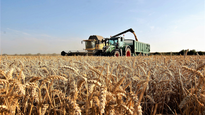 LG Astronomer impresses on Basingstoke farm