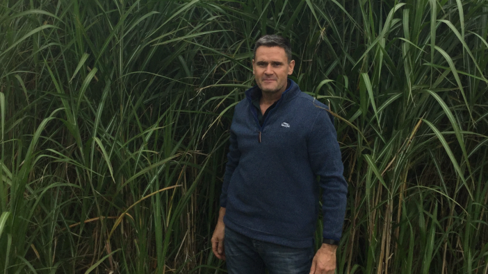 Miscanthus investment pays off for Worcestershire farmer