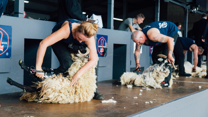 Calling all shearers and wool handlers, get your Golden Shears 2023 entry in