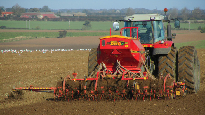 Use the right variety to optimise late drilled wheat