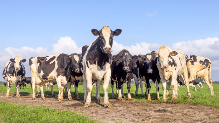 Arla announces sustainability incentive for farmers