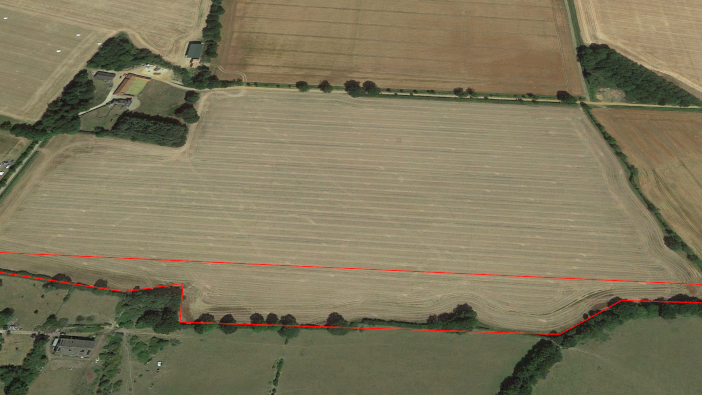 Norfolk farmer squares off awkward fields with miscanthus