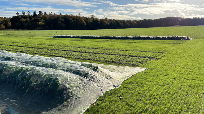 Cereals 2023 to be the ‘largest fundraiser to date’ for the MSA Trust