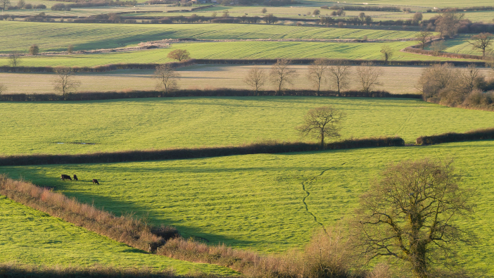 Royal Assent for the Precision Breeding Bill government funding Projects aiming to boost sustainable food production and reduce emissions will benefit from the next round round of the FETF from today.