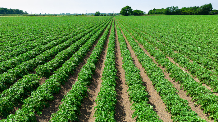 New database of insect genomes made publicly available