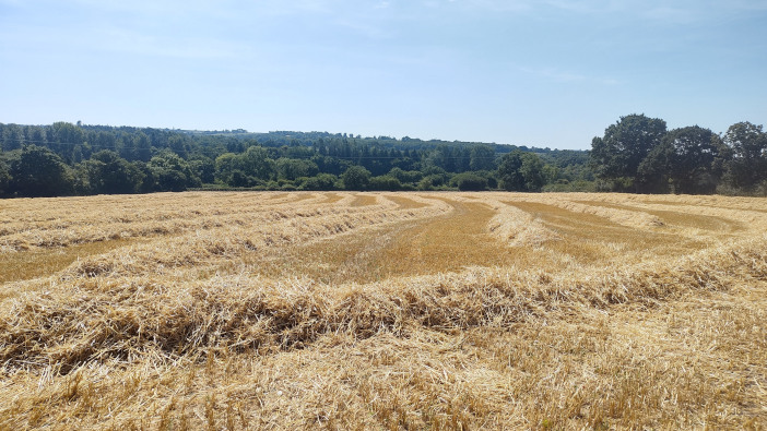 Mole Valley spring barley variety paying dividends