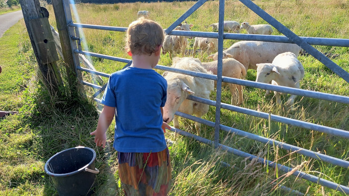 Growth in agritourism is helping to educate public about farming