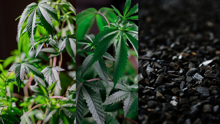 New UK company to help farmers thrive despite climate change concerns