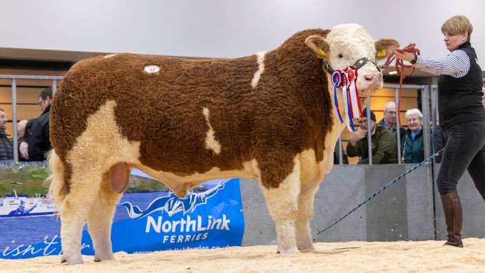 New Simmental breed record set at Aberdeen show