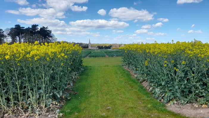 Agronomy exhibitors preview Cereals plots