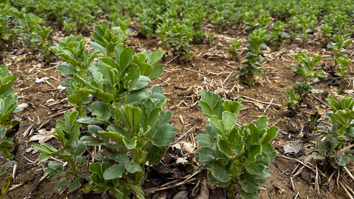 PGRO open days this June