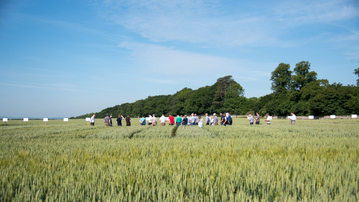 Trial plot tours at the Arable Event on Bradford Estates will include winter and spring cereals and cover crops