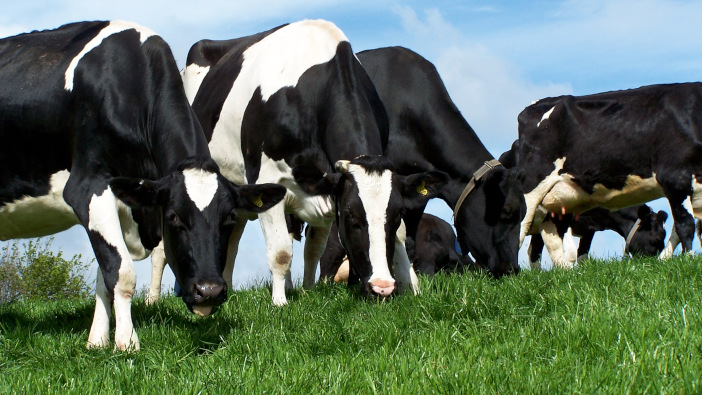 Graze efficiently to maximise margins