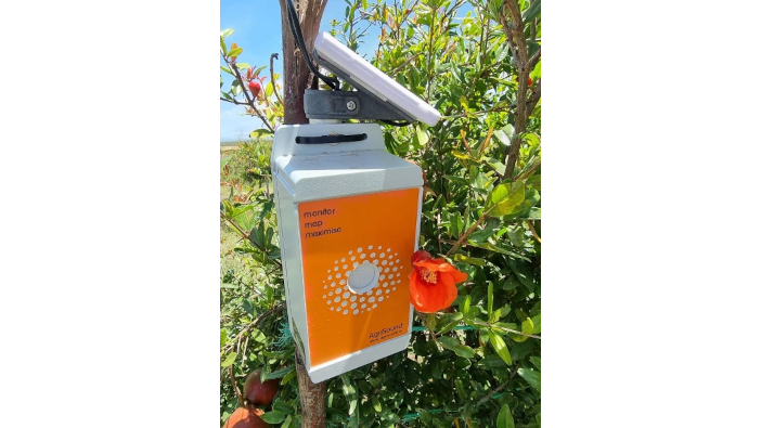 AgriSound win Innovate UK funding for Kenyan women farmers project