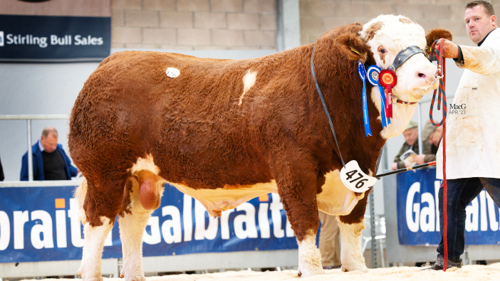 Good results at May cattle sales