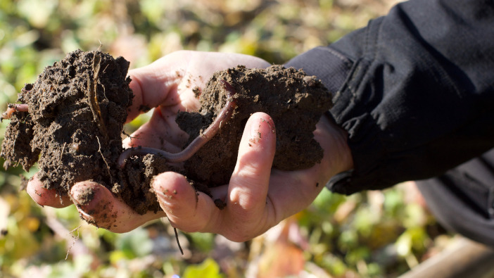 Regen farmers potentially missing out on new revenue streams
