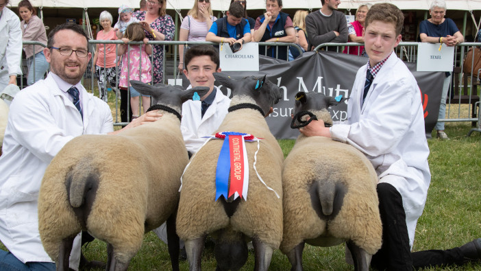 Record number of livestock entries for the Royal Bath & West Show
