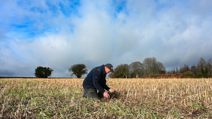 Cover crops have multiple benefits cover crops