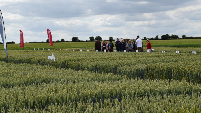 Crop variety choice driven by local trials, new survey reveals