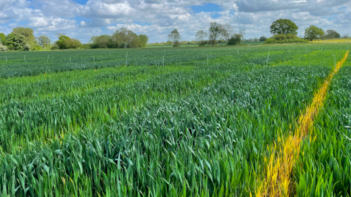 Cut back on nitrogen with biologicals