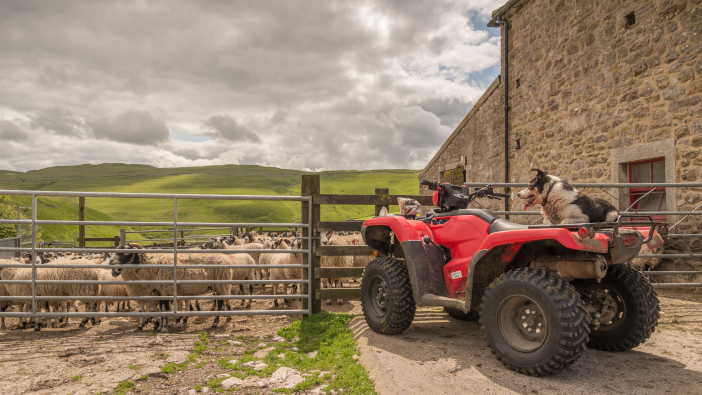 Insurance specialists urge farmers to increase security